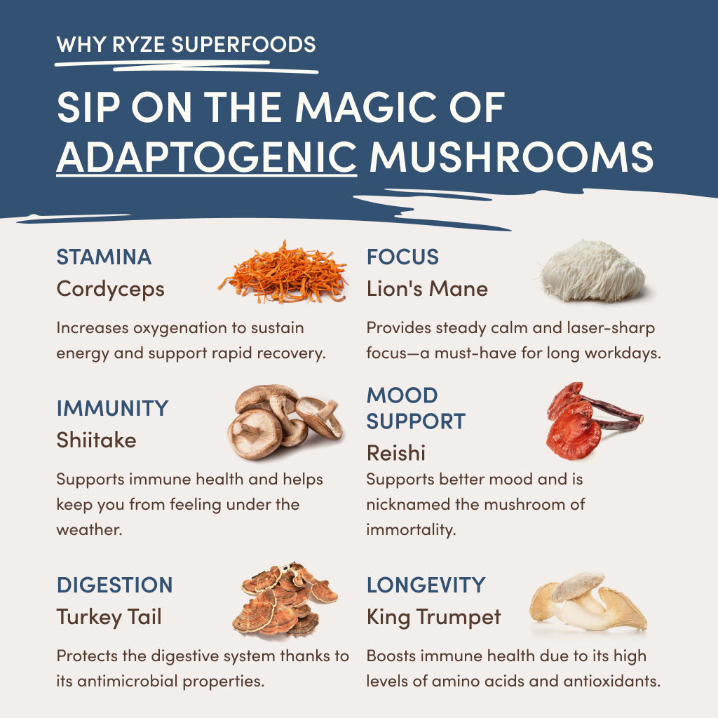 RYZE Nighttime Mushroom Cocoa Starter Bag M8
