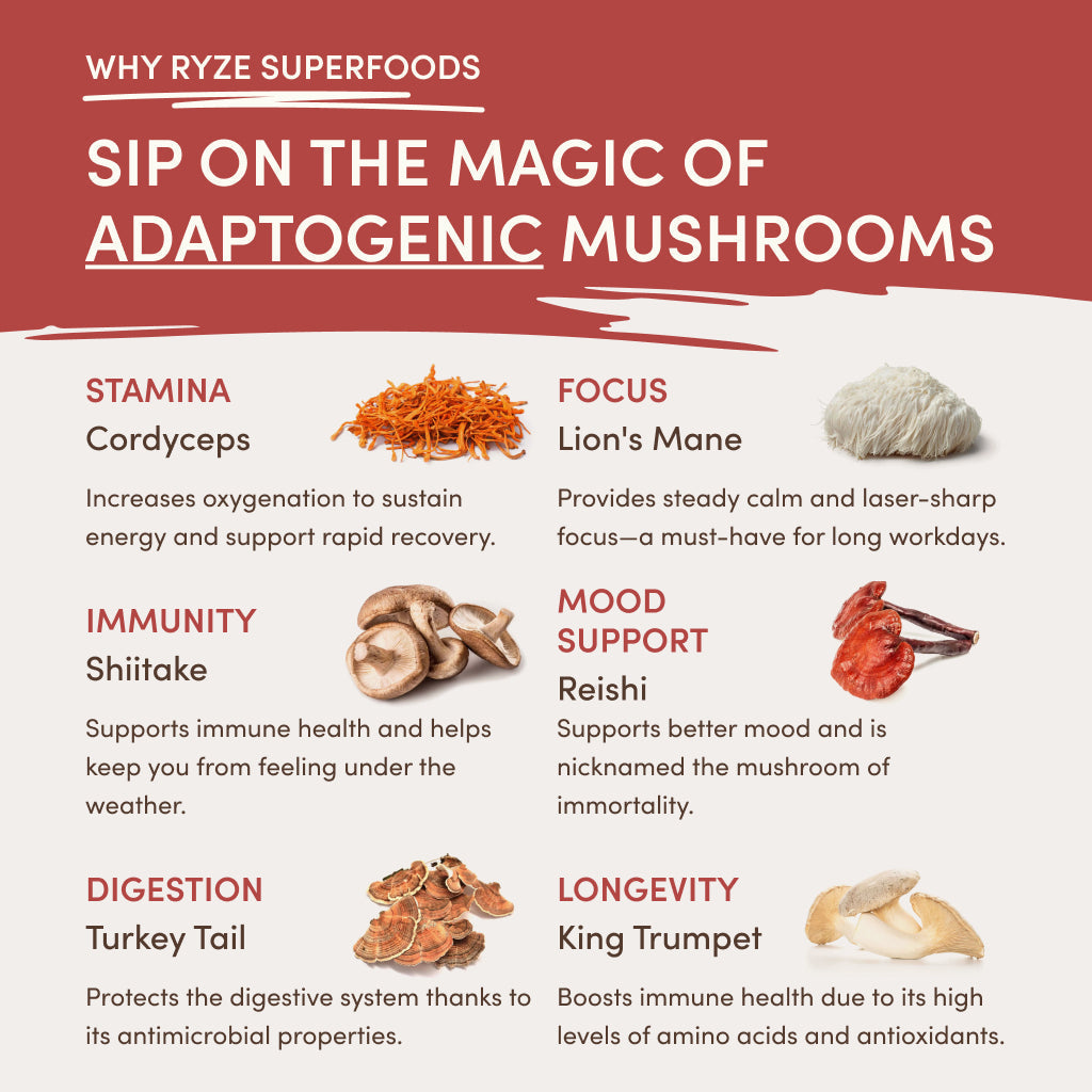 RYZE Mushroom Chai Starter Bag B0