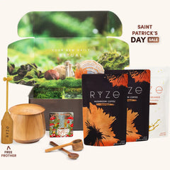 Mushroom Coffee Ritual Set E9