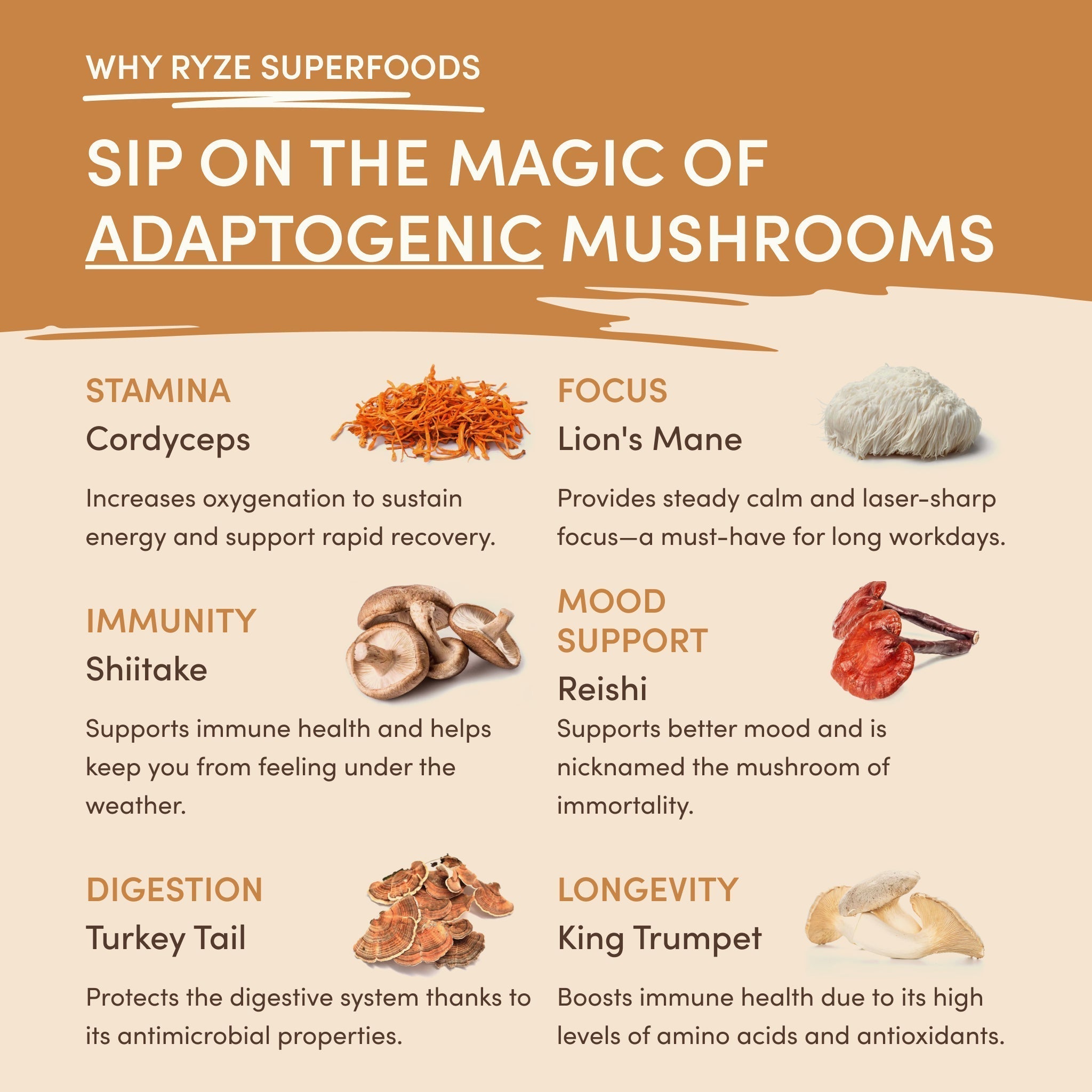 Mushroom Overnight Oats (14 Servings) G1