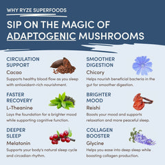 RYZE Mushroom Hot Cocoa — Organic Instant Cocoa with L-Theanine & Melatonin, 20 Servings G7