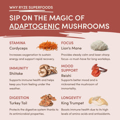 Mushroom Chicory (30 Servings) J2