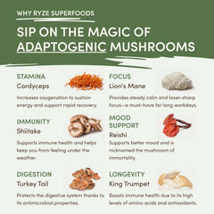 RYZE Mushroom Matcha — Organic Instant Matcha Latte with Lion's Mane & King Trumpet, 30 Servings T8