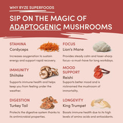 RYZE Mushroom Chai — Organic Instant Chai with Reishi & Organic Black Tea, 20 Servings S8