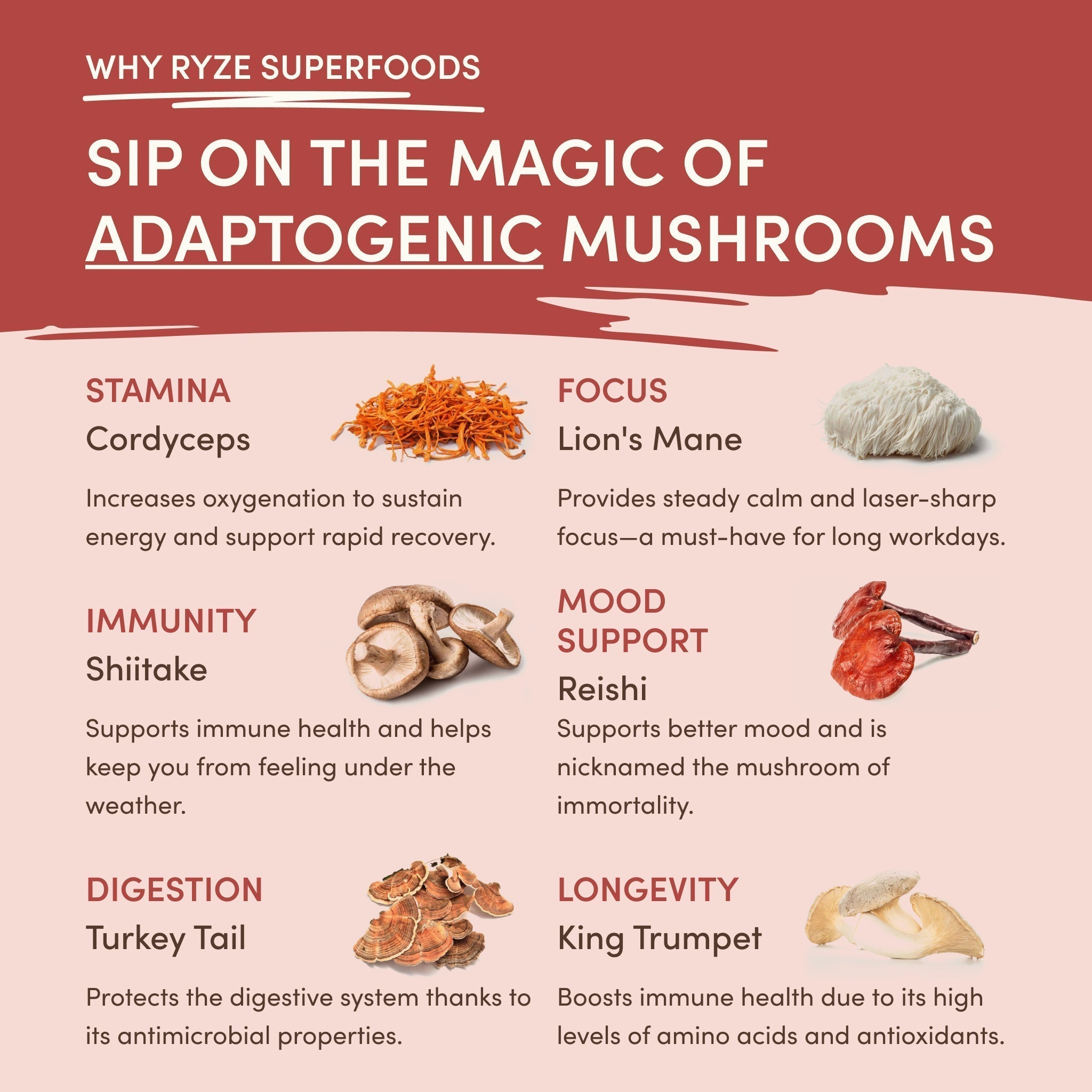 RYZE Mushroom Chai — Organic Instant Chai with Reishi & Organic Black Tea, 20 Servings S8
