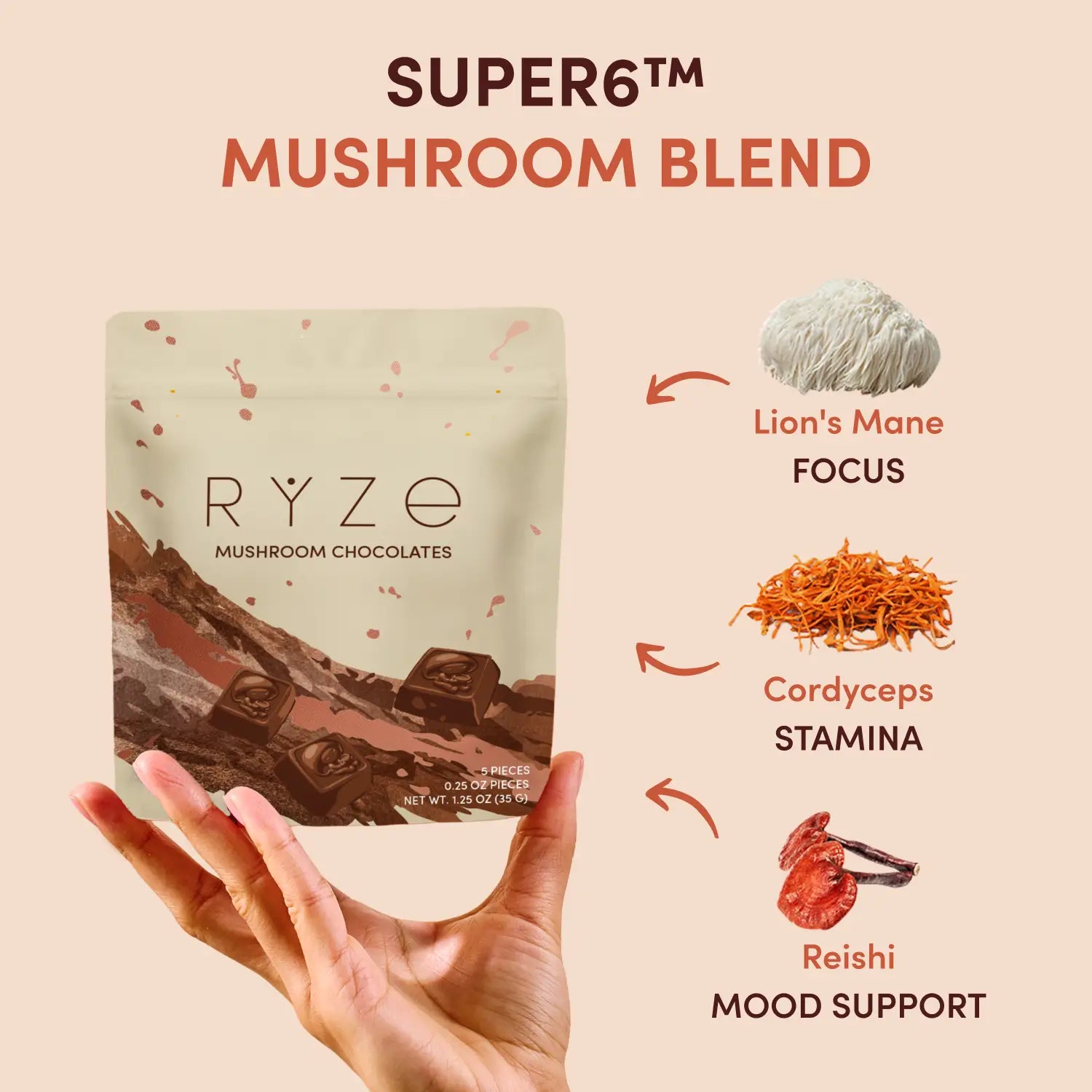 Mushroom Chocolates Rye (15 pieces) I6