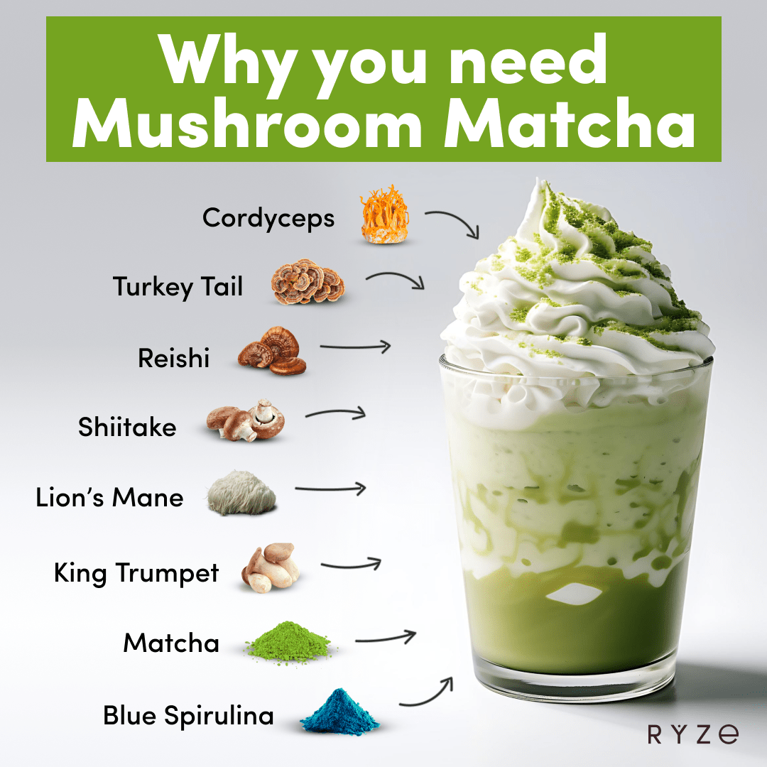 RYZE Mushroom Matcha - with 6 Organic Adaptogenic Mushrooms Grown In USA and Ceremonial-Grade Japanese Matcha V7