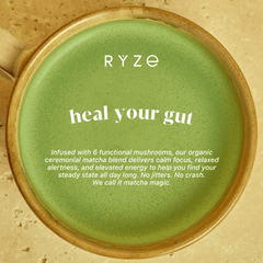 RYZE Mushroom Matcha - with 6 Organic Adaptogenic Mushrooms Grown In USA and Ceremonial-Grade Japanese Matcha V7