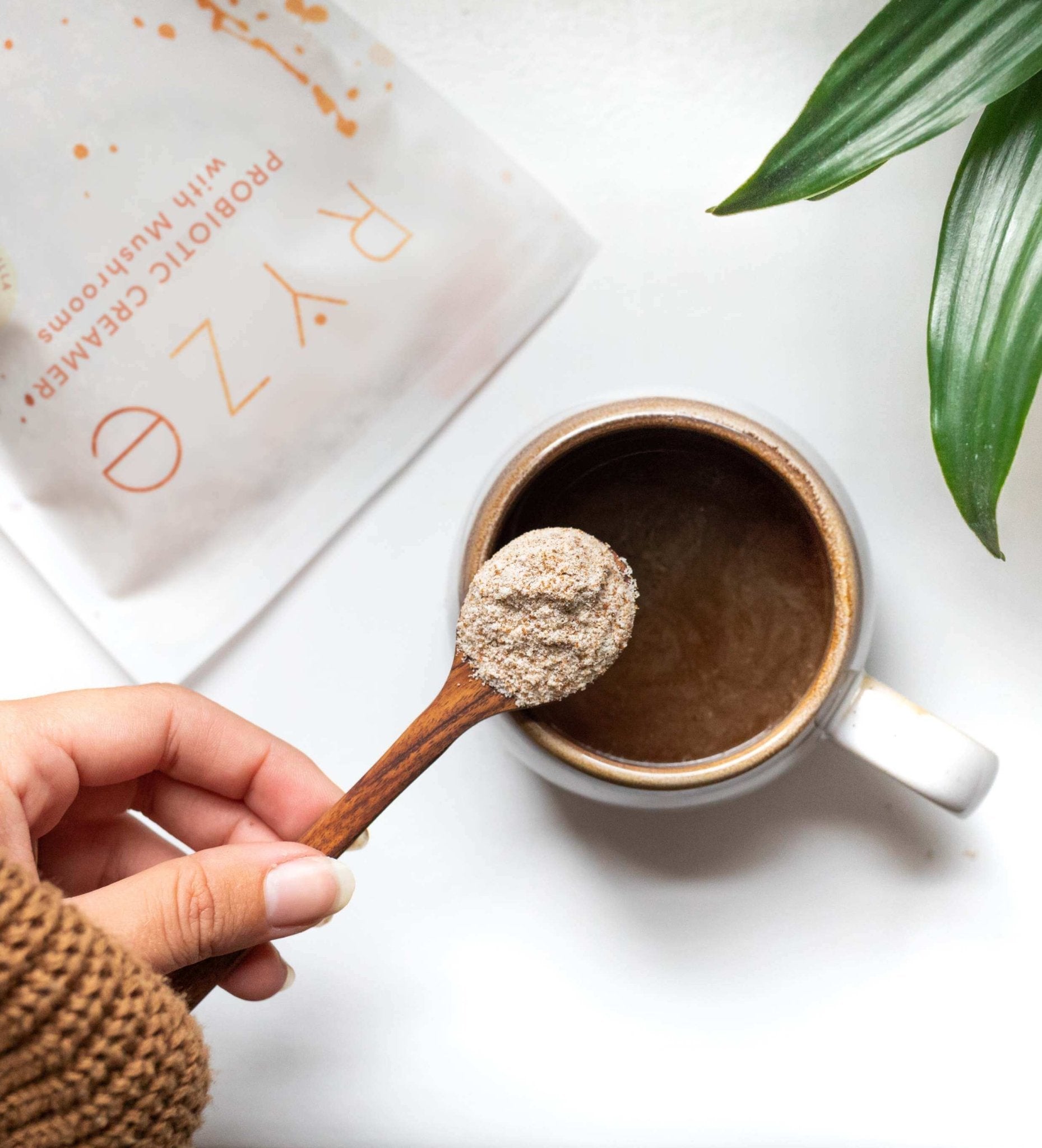 Try our Probiotic Creamer for 50% OFF! E6