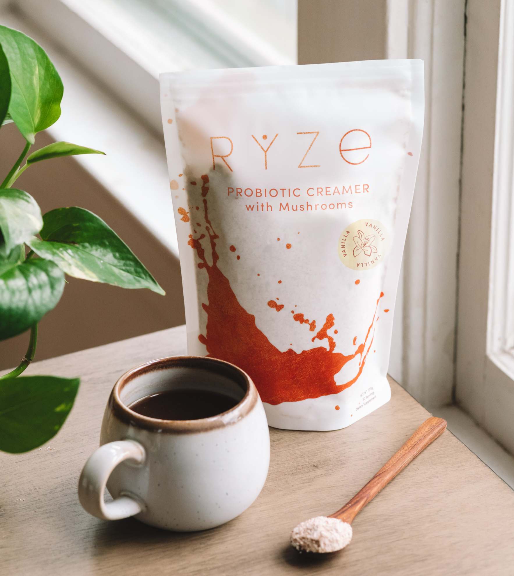 Try our Probiotic Creamer for 50% OFF! E6